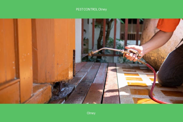 PEST CONTROL Olney